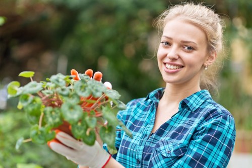 Gardeners Holborn pricing for a small courtyard tidy-up