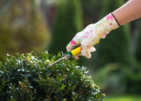A garden tool icon representing essential cookie use
