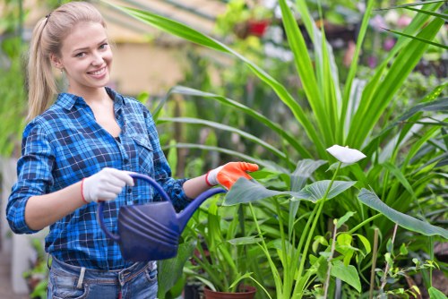 Complaint handling process for local gardening services