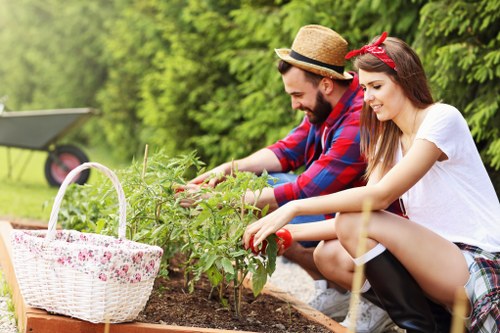 Healthy green lawn care in a Holborn garden