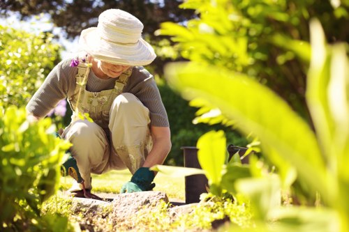 Seasonal garden maintenance in Holborn with healthy shrubs and borders