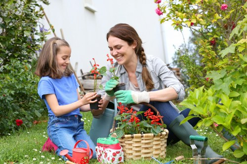 Urban lawn and patio care as part of garden maintenance in Holborn