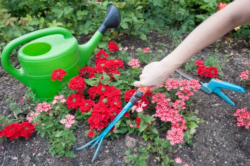 Transparent gardening quotes for Holborn homes