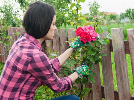 Gardening team assessing outdoor work risks