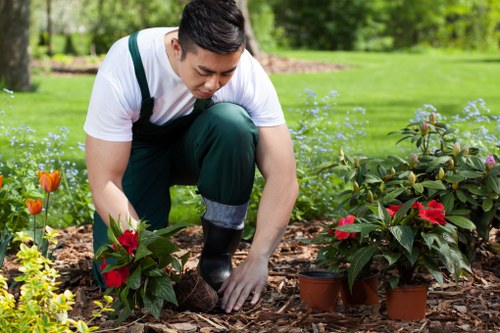 Illustration representing accessible gardening information in Holborn