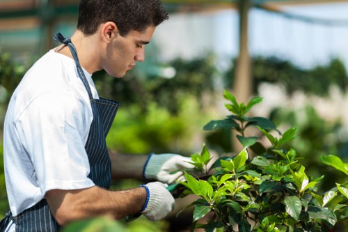 Liability and property care terms for gardeners