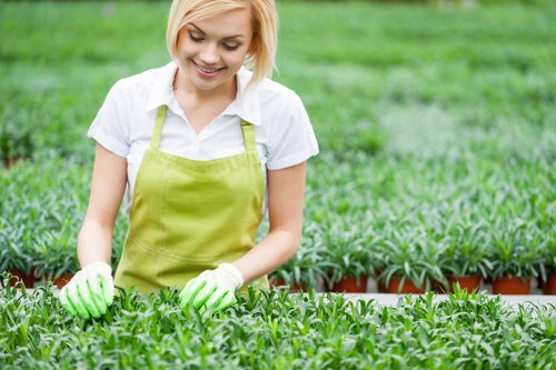 Reusable garden supplies prepared for charity donation