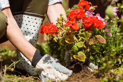 Icon showing keyboard navigation support for a gardening site