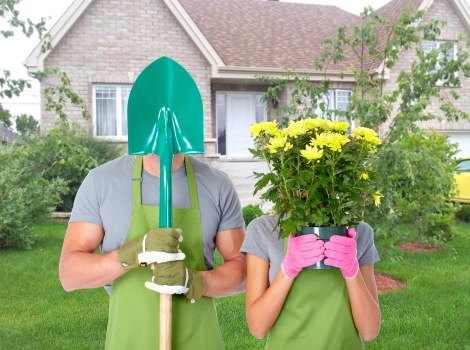 Weed and moss control for a Holborn lawn