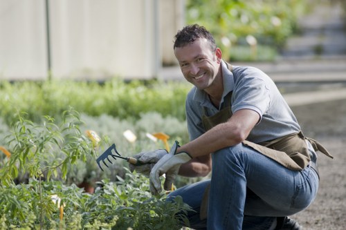 Container planting and border maintenance in a Holborn outdoor space