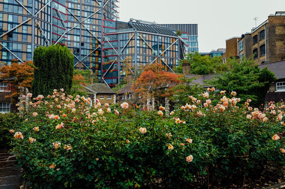 A lush garden bed densely populated with blooming pink and peach roses, their petals soft and delicate, contrasting with the dark green foliage. Behind the roses, a narrow stone pathway runs through t