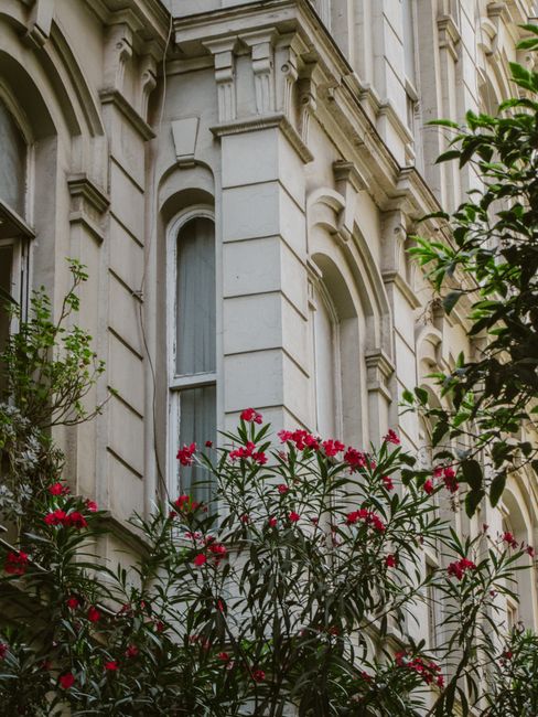 A lush garden bed densely populated with blooming pink and peach roses, their petals soft and delicate, contrasting with the dark green foliage. Behind the roses, a narrow stone pathway runs through t